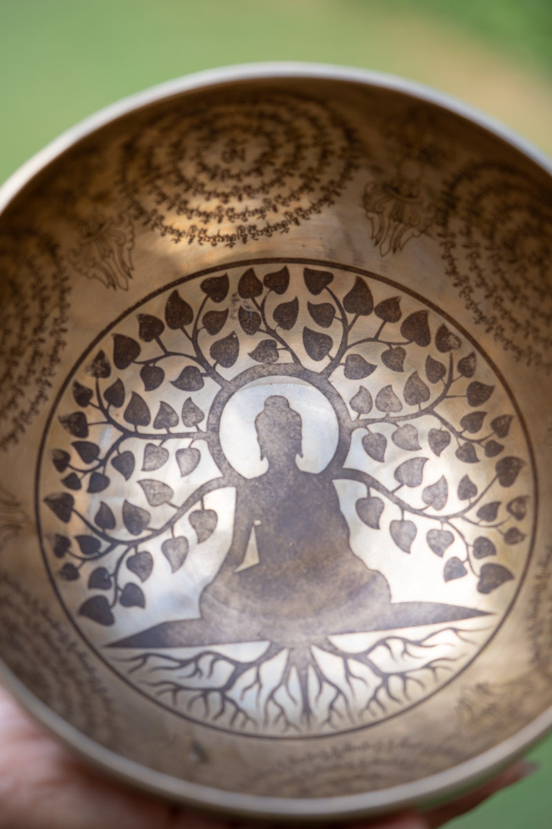 Buddha Tree Singing Bowl for meditation.