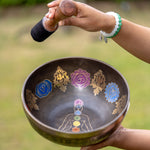 7 Chakra Singing Bowl for sound therapy.
