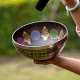 7 Chakra Singing Bowl for sound therapy.