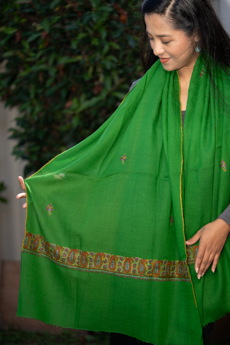 Light Embroidered Pashmina Shawl - Himalayas Shop