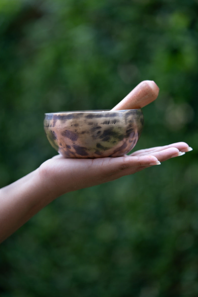 old tibetan singing bowl from himalaya