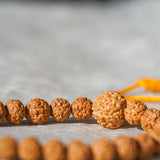 Natural Rudraksha Bead Bracelet - Unisex Bracelet for Spiritual and Yoga Person - Meditation & Healing wrist mala from Himalayas | Shiva