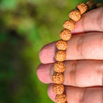 Natural Rudraksha Bead Bracelet - Unisex Bracelet for Spiritual and Yoga Person - Meditation & Healing wrist mala from Himalayas | Shiva