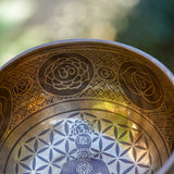 Chakra singing bowl- A complete set with striker and resting cushion