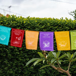 Wall Hanging Prayer Flags