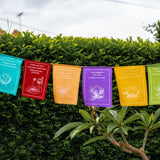 Wall Hanging Prayer Flags