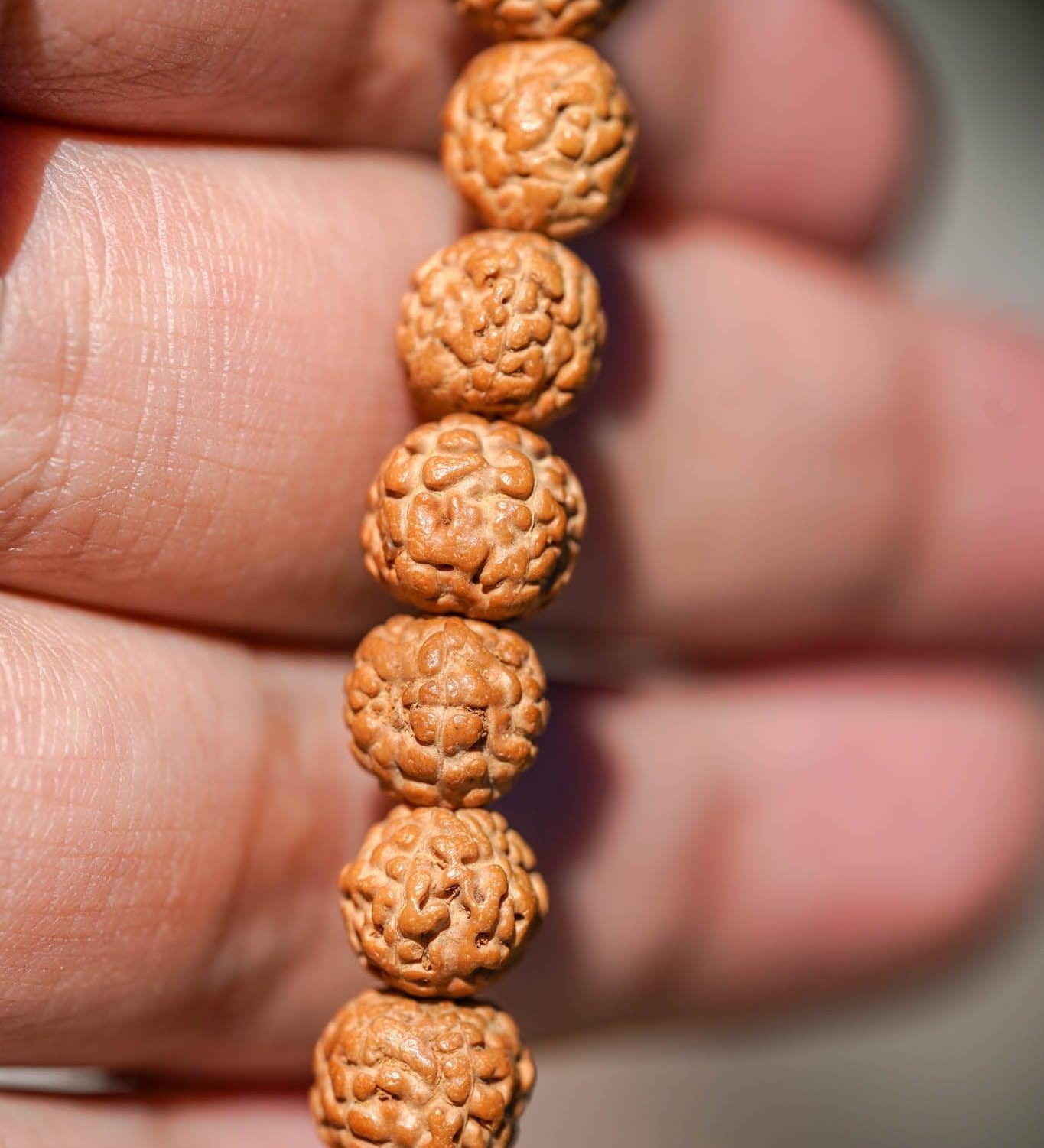 Natural Rudraksha Bead Bracelet - Unisex Bracelet for Spiritual and Yoga Person - Meditation & Healing wrist mala from Himalayas | Shiva