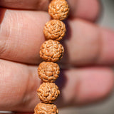 Natural Rudraksha Bead Bracelet - Unisex Bracelet for Spiritual and Yoga Person - Meditation & Healing wrist mala from Himalayas | Shiva