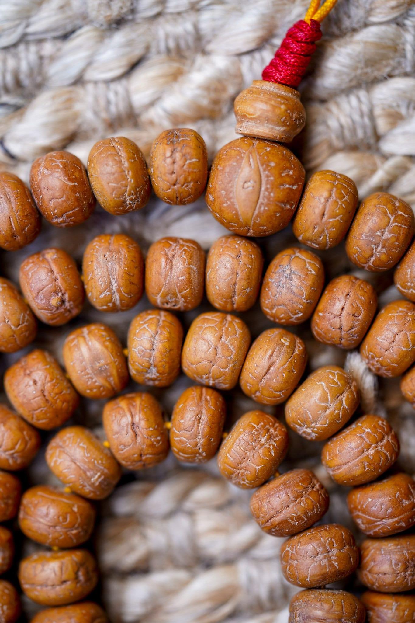 Natural Bodhi Bead Wrist Mala close up