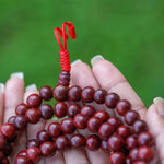 Rosewood Mala being held