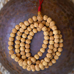 Rudraksha Bead Mala aerial view