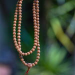 Rudraksha Bead Mala being held