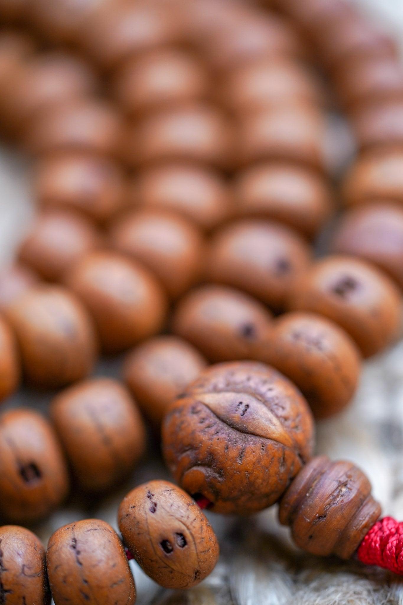 14 mm Bodhi Bead side view close up