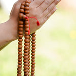 holding 14 mm Bodhi Bead