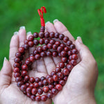 Rosewood Mala being held