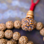 Rudraksha Bead Mala principle bead