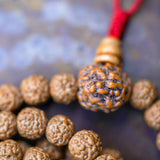 Rudraksha Bead Mala principle bead