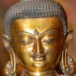 Gold Plated Shakyamuni Buddha Statue - Himalayas Shop