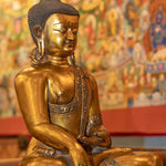 Gold Plated Shakyamuni Buddha Statue - Himalayas Shop
