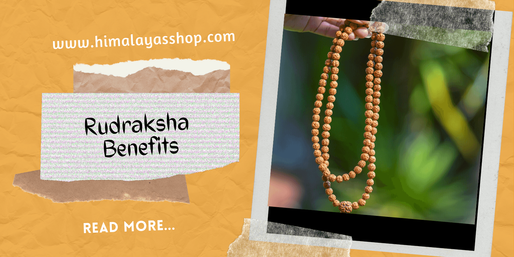 Benefits of wearing a Rudraksha