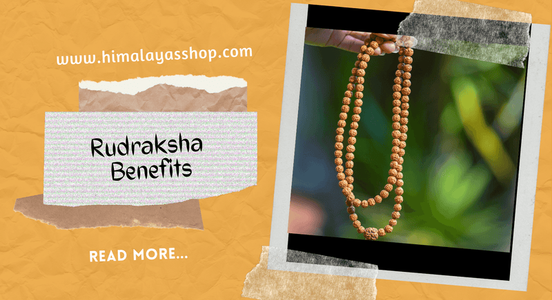Benefits of wearing a Rudraksha