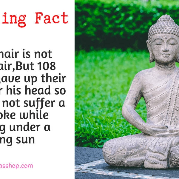 Sree buddha discount history