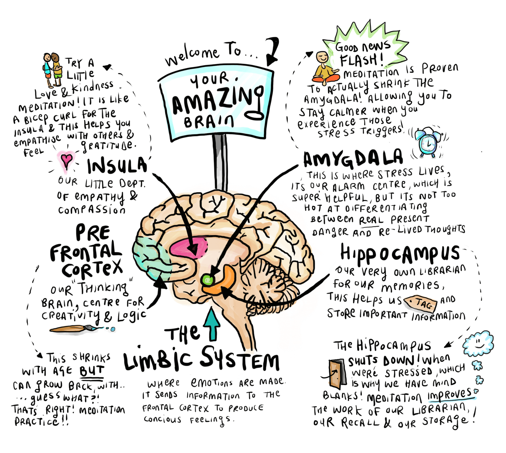 Brain Waves and Frequency Alter with Singing Bowl