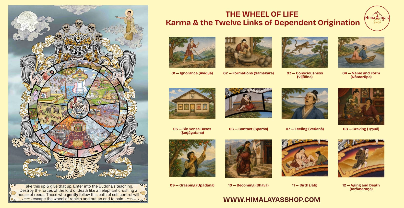Wheel of Life in Buddhism