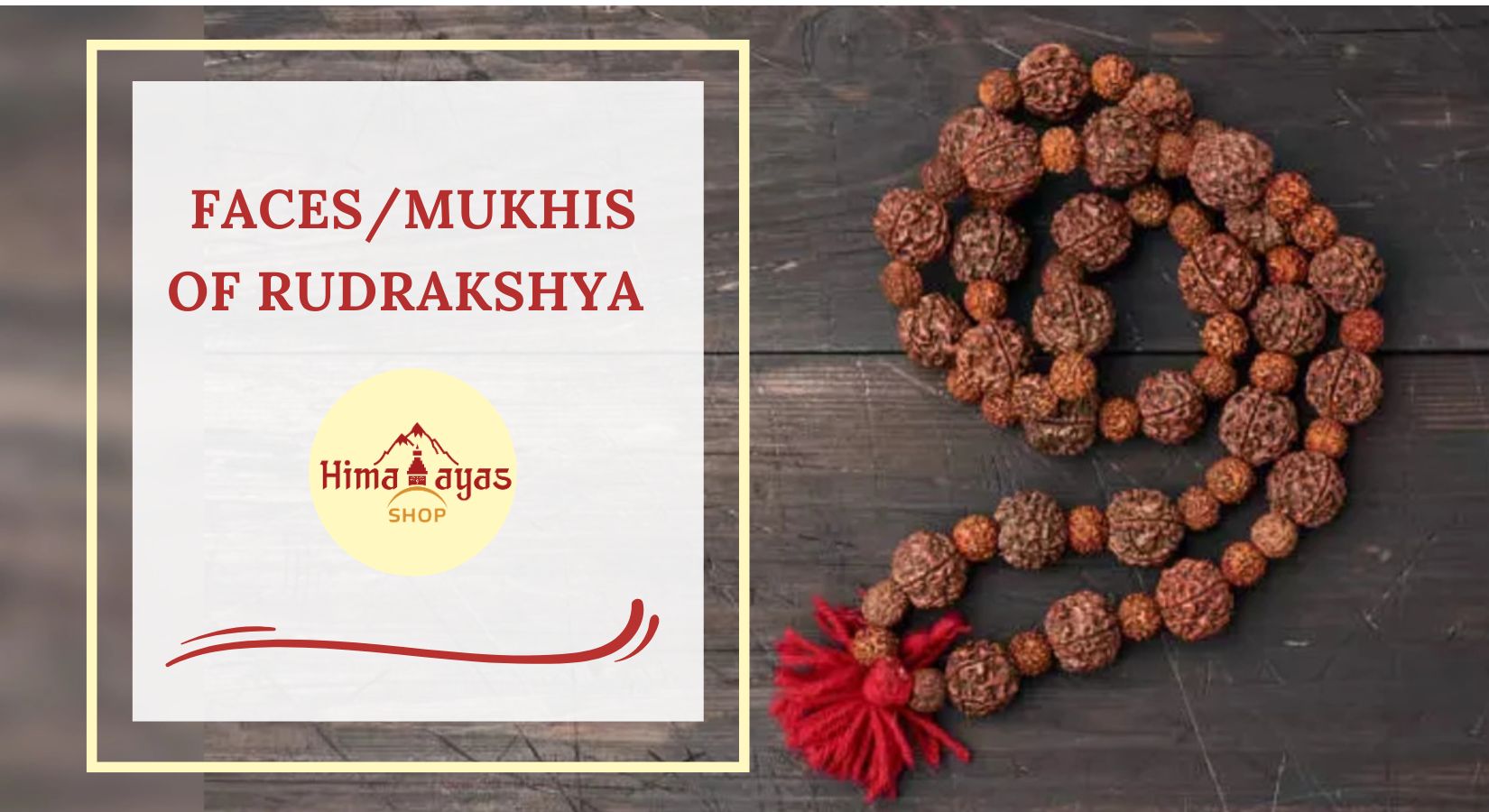 All types of Rudraksha seed and its benefits
