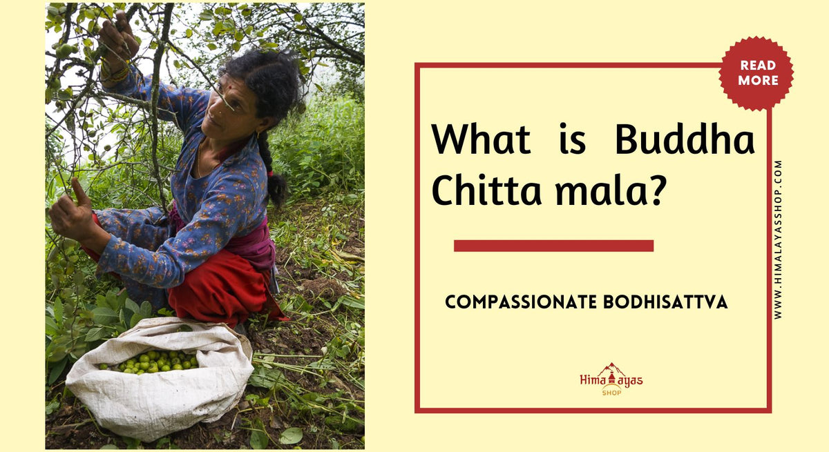 Chitta Robi What is Buddha Chitta mala? – Himalayas Shop