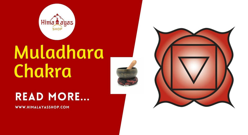Root Chakra Healing and Balance Technique with Singing Bowl Explained