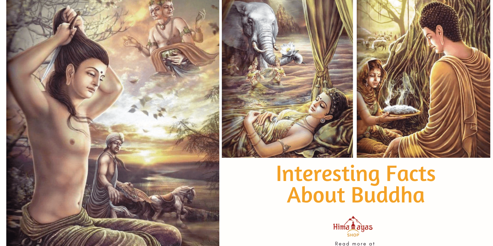 20 Interesting Facts About Buddha - Himalayas Shop