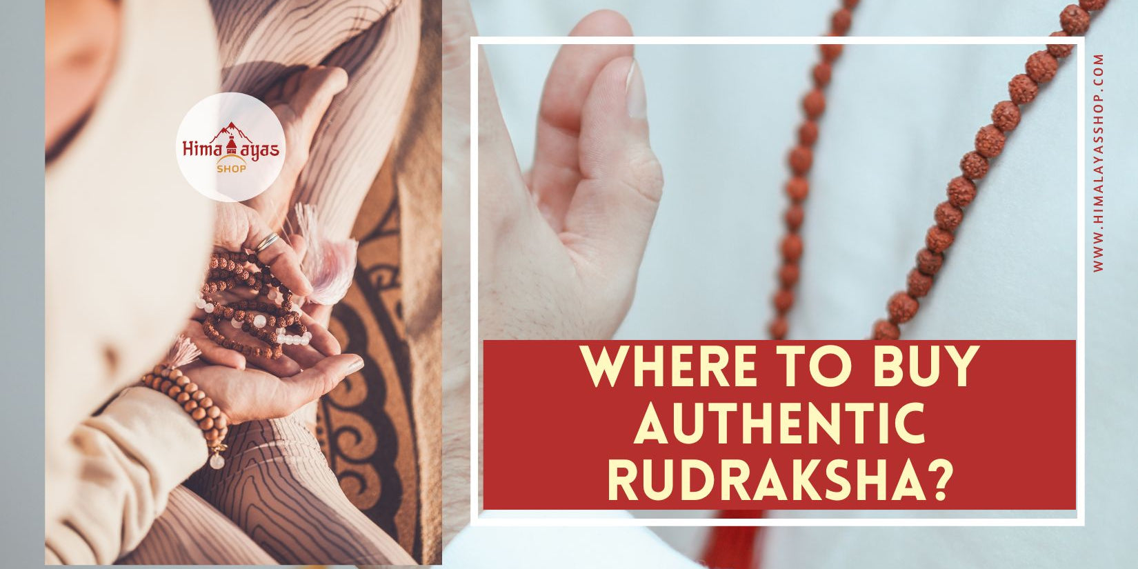Buying Authentic Rudraksha