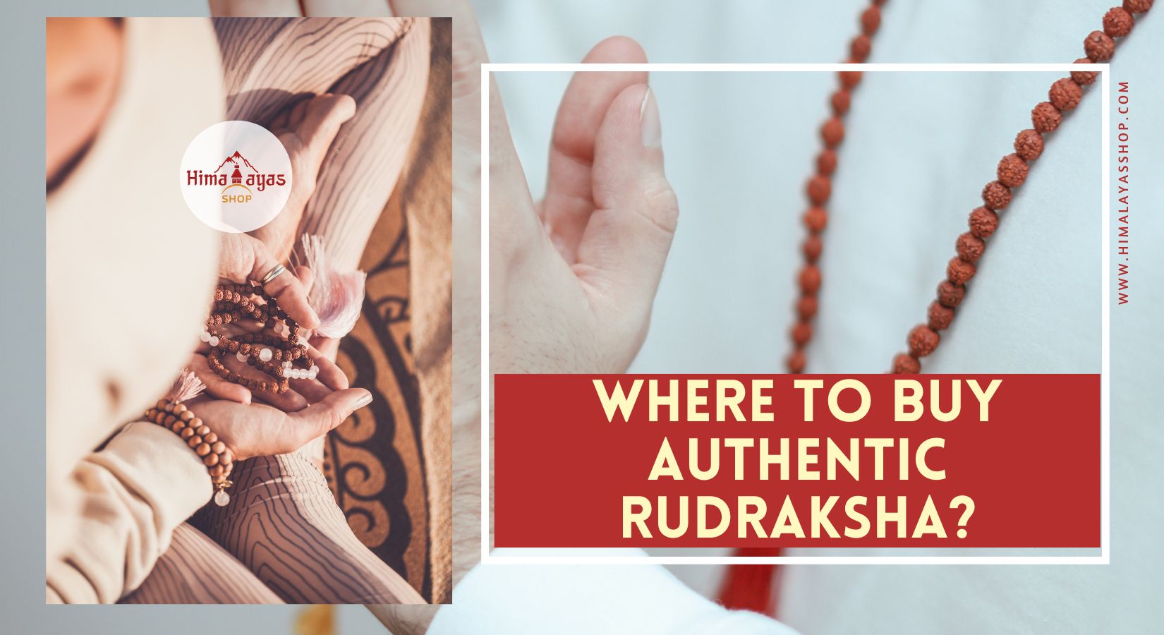 Buying Authentic Rudraksha