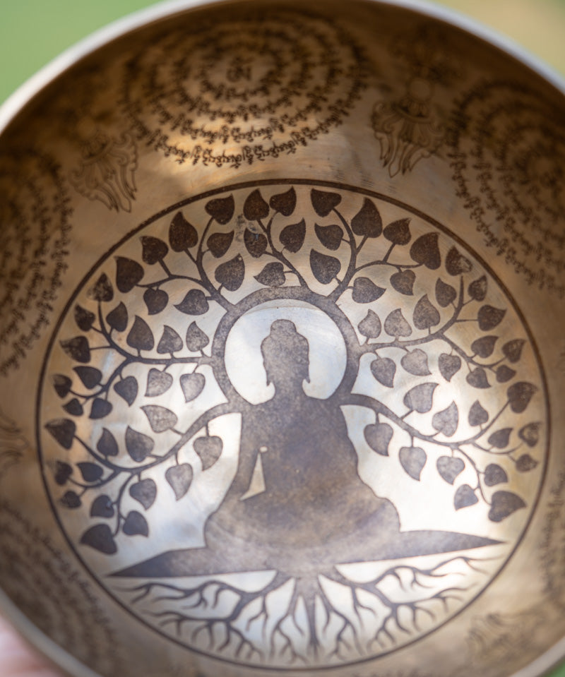 Buddha Tree Singing Bowl for meditation.