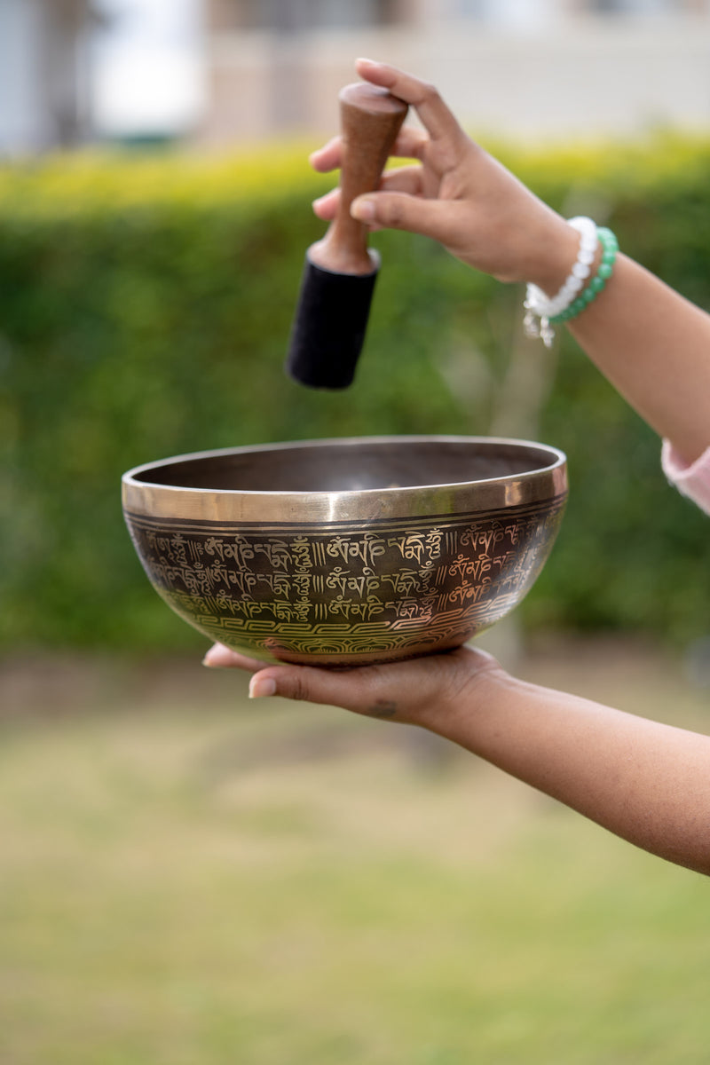 7 Chakra Singing Bowl for sound therapy.