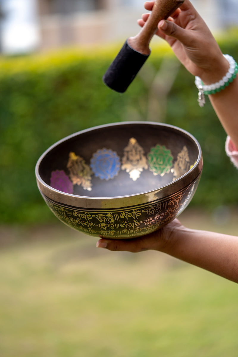 7 Chakra Singing Bowl for sound therapy.
