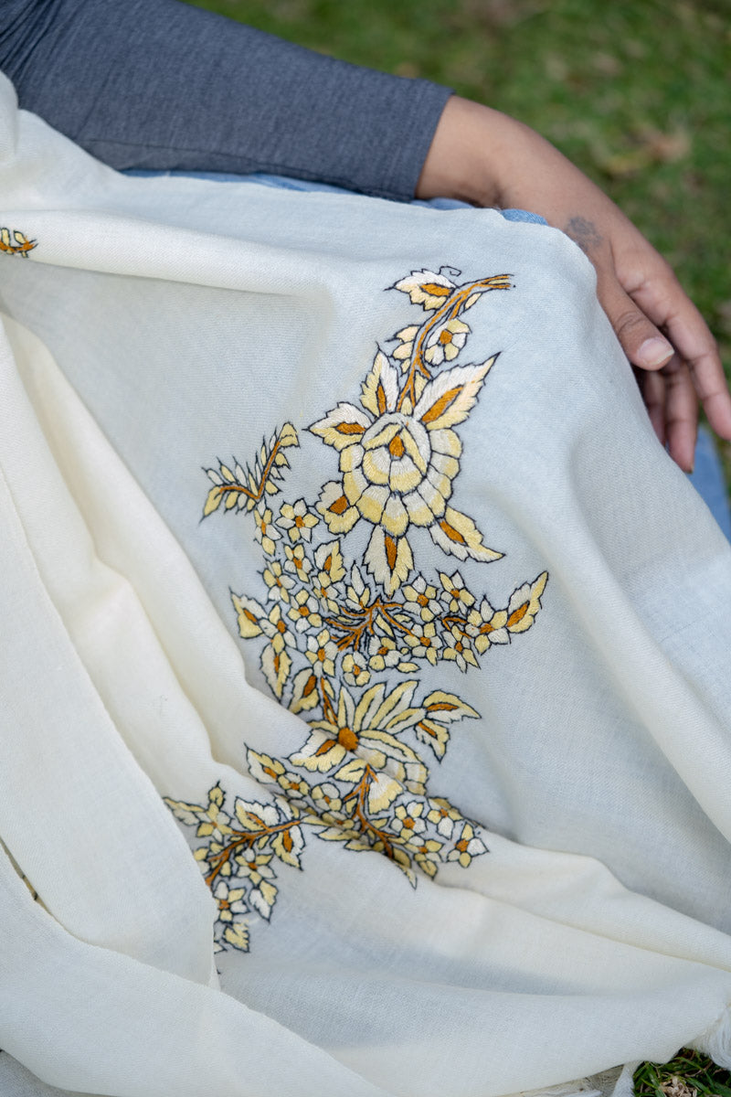 Cashmere Pashmina Shawl for fashion accessory.