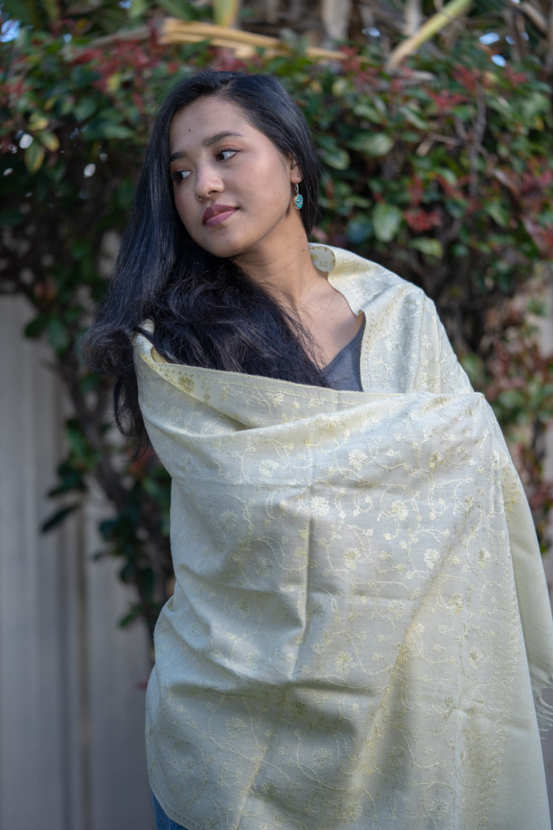  pashmina shawl with light embroidery work for summer or spring wear.