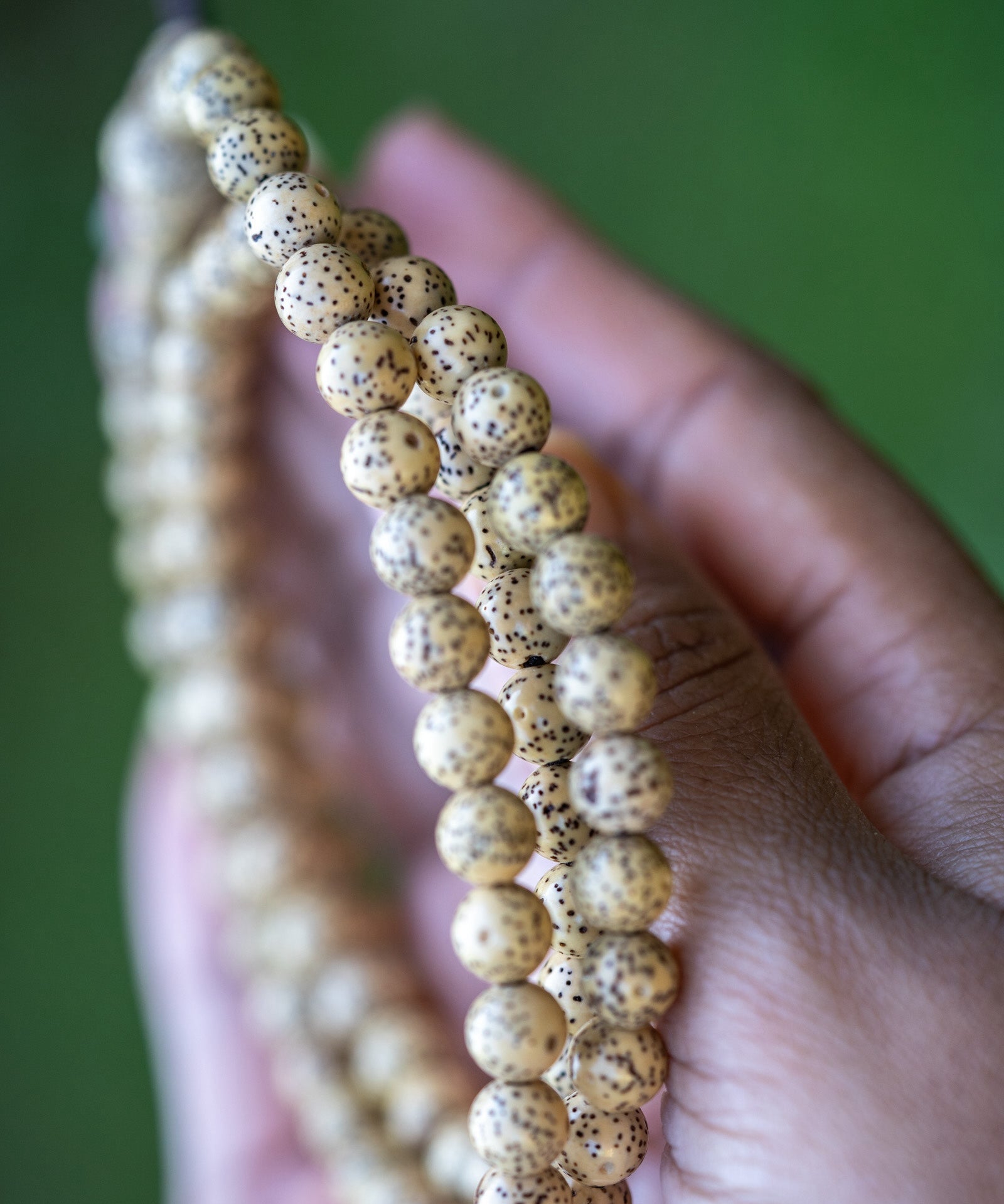 Lotus Seed Mala 