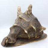 Conch Shell - The Himalayas Shop .