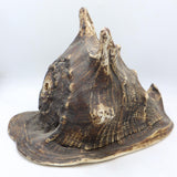 Conch Shell - The Himalayas Shop .