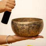 Thadobati Singing Bowl - Professional Therapy Bowl