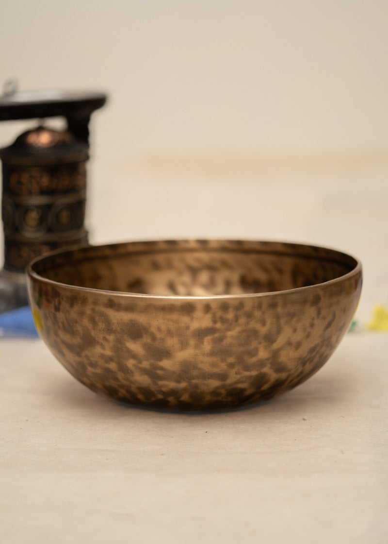 Sound Healer 10 inch singing bowl