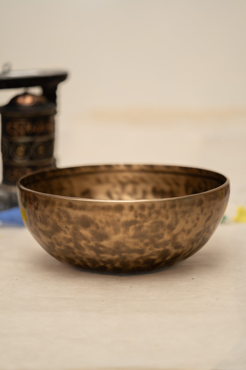Sound Healer 10 inch singing bowl