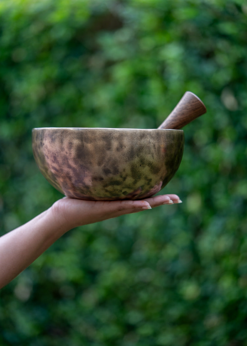 old tibetan singing bowl from himalaya