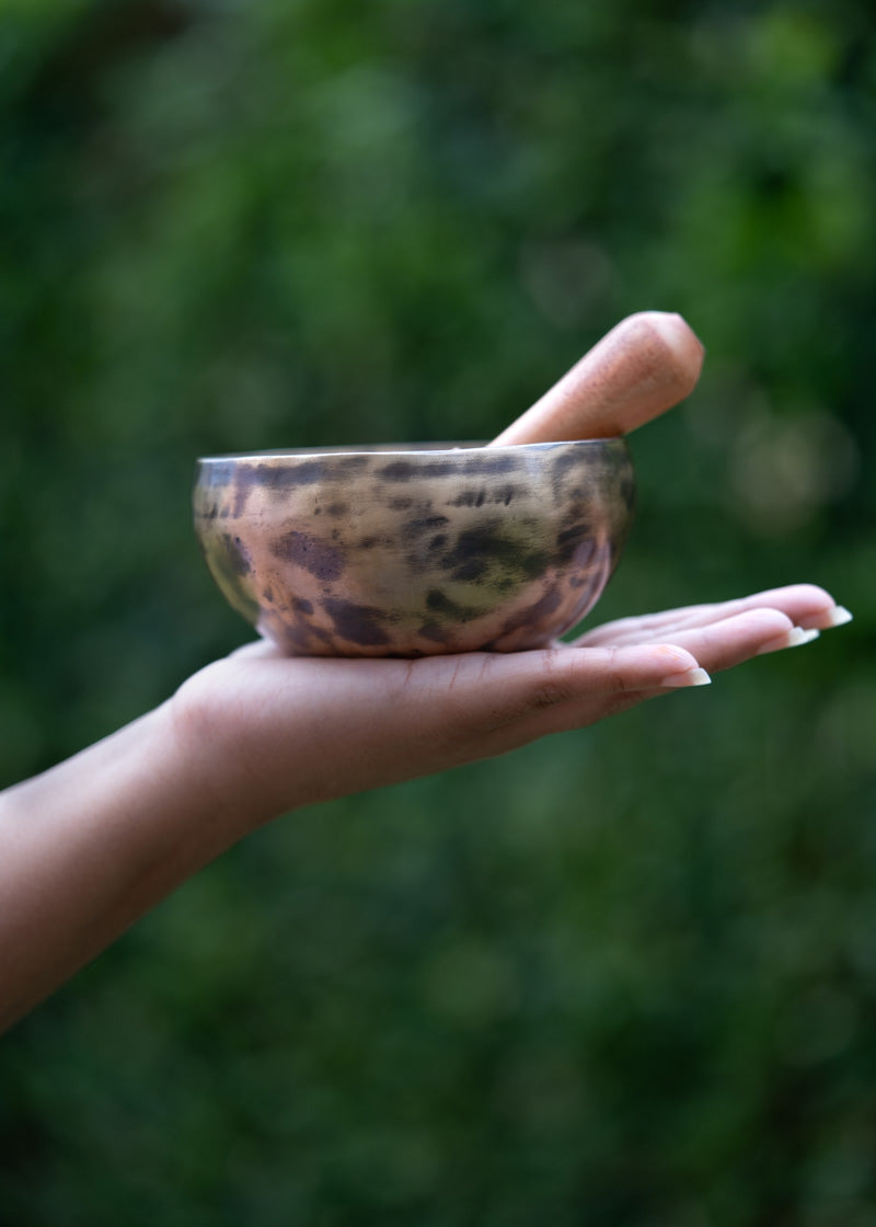old tibetan singing bowl from himalaya