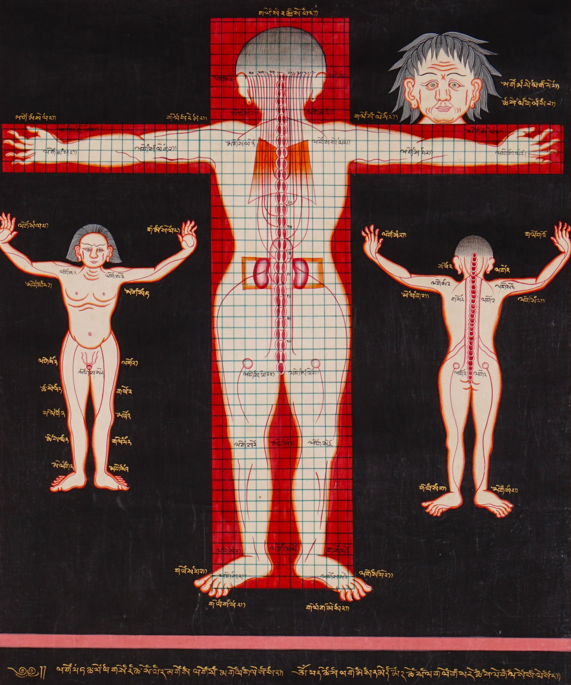 Tibetan Anatomy Thangka Painting showing traditional human body diagrams with front and back views, spinal lines, red grid markings, body points and Tibetan script labels on a black background.