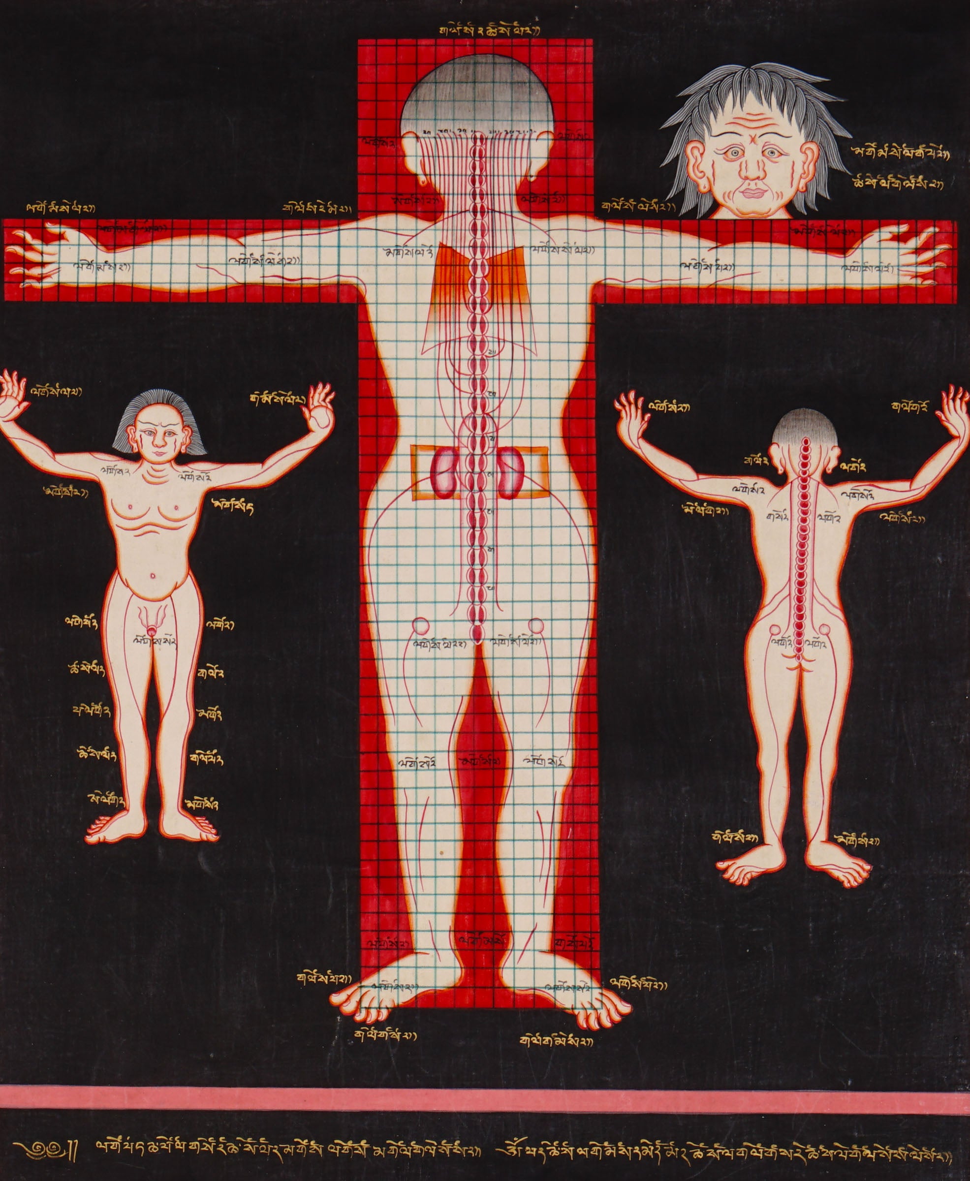 Tibetan Anatomy Thangka Painting showing traditional human body diagrams with front and back views, spinal lines, red grid markings, body points and Tibetan script labels on a black background.
