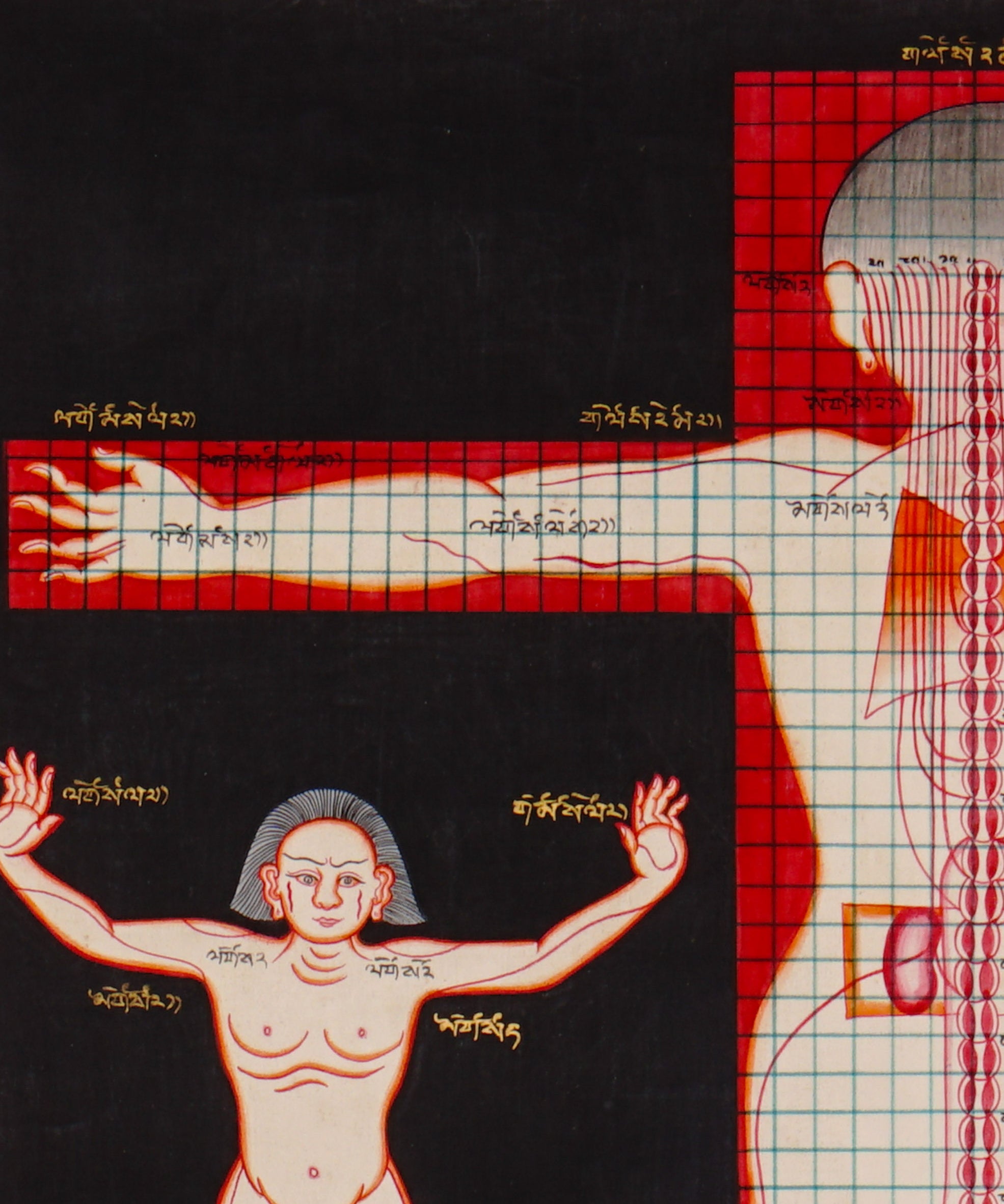 Tibetan Anatomy Thangka Painting showing traditional human body diagrams with front and back views, spinal lines, red grid markings, body points and Tibetan script labels on a black background.